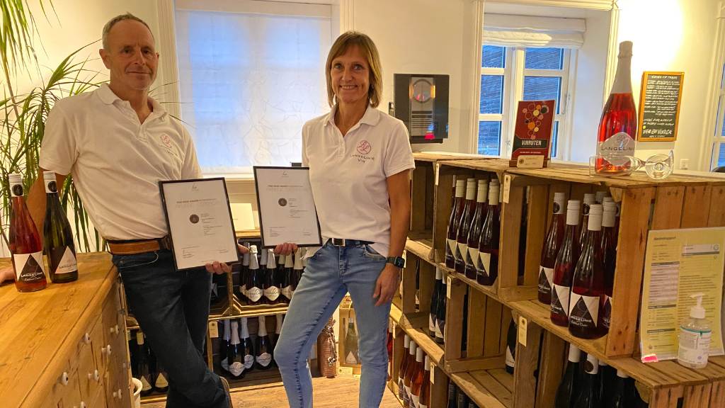 Langelinie Vin – vineyards near Strø Bjerge