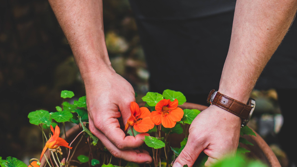 Best Western Hotel Hillerød - Green Key Hotel with unique meeting rooms and local gastronomy