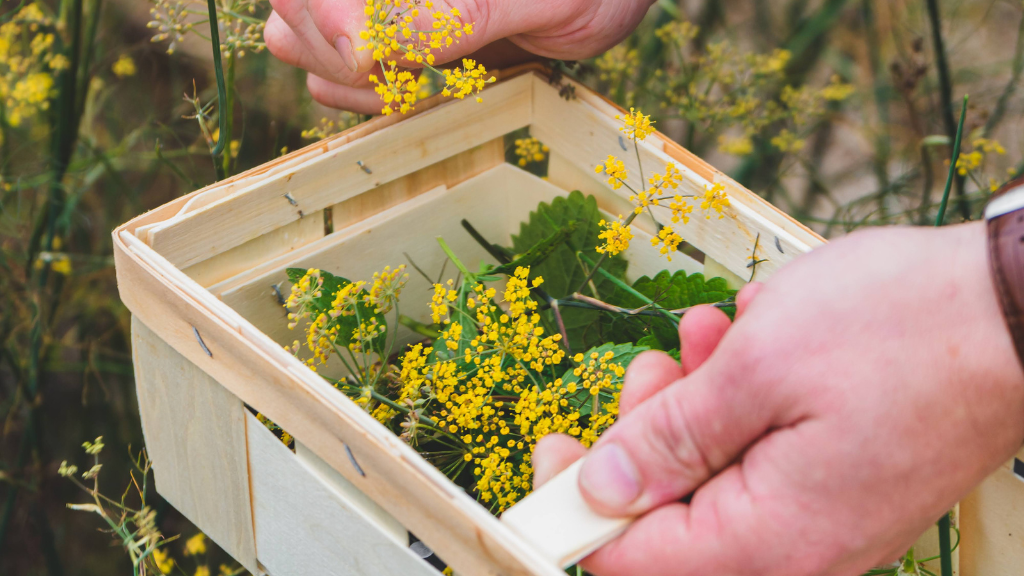 Best Western Hotel Hillerød - Green Key Hotel with unique meeting rooms and local gastronomy