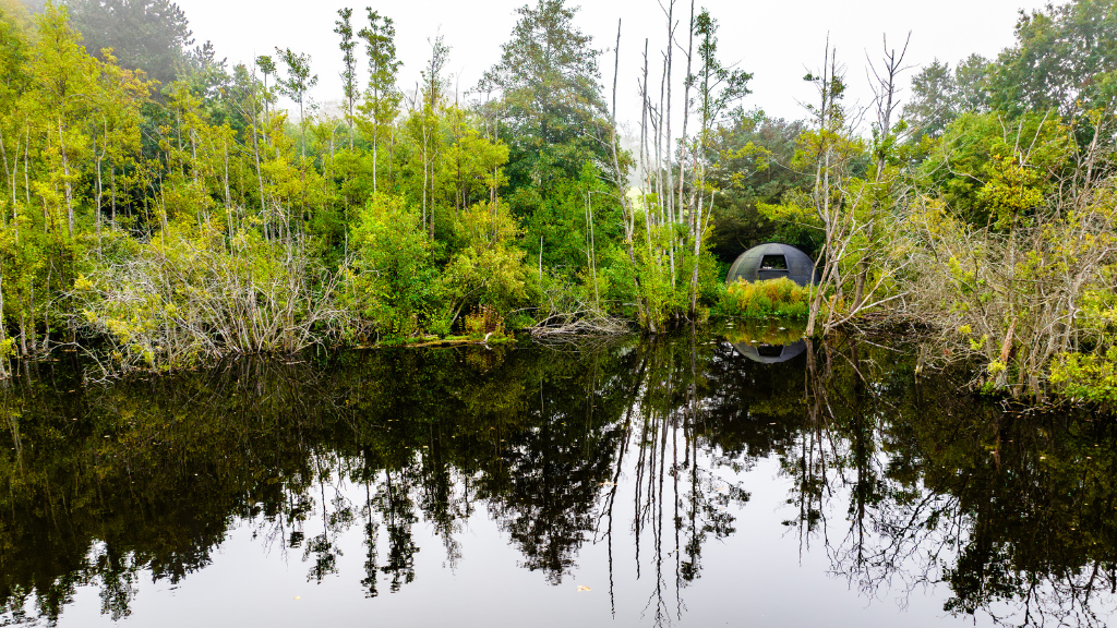 Royal Power and the Power of Water | Historical Hike on Arrenæs