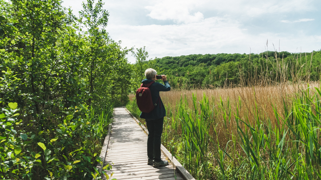 Guided Walk in Frederiksværk – Royal Power and the Force of Water