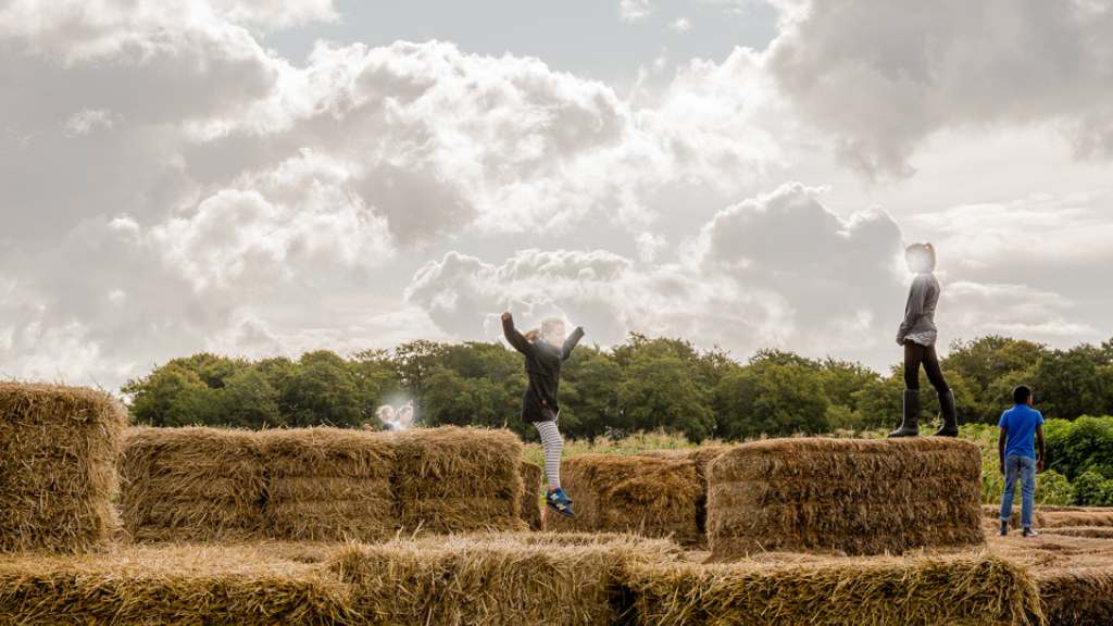 aarstiderne halmborg