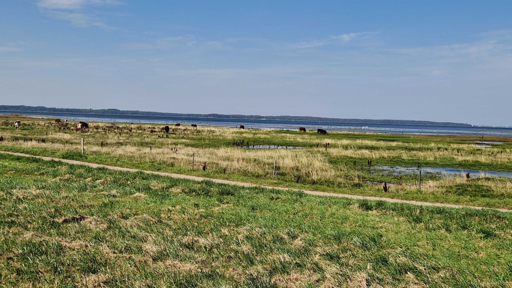 Route 40 from Frederiksværk to Roskilde