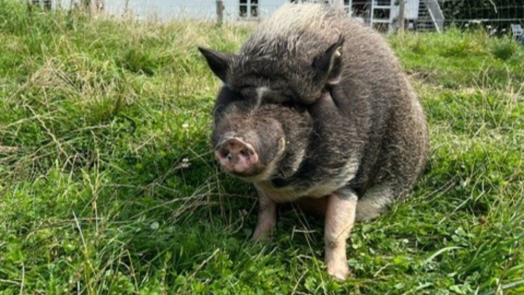 Sankt Helene in Tisvildeleje