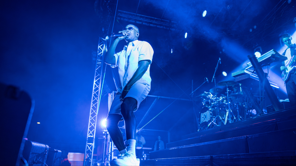 Folkely Festival in Hundested