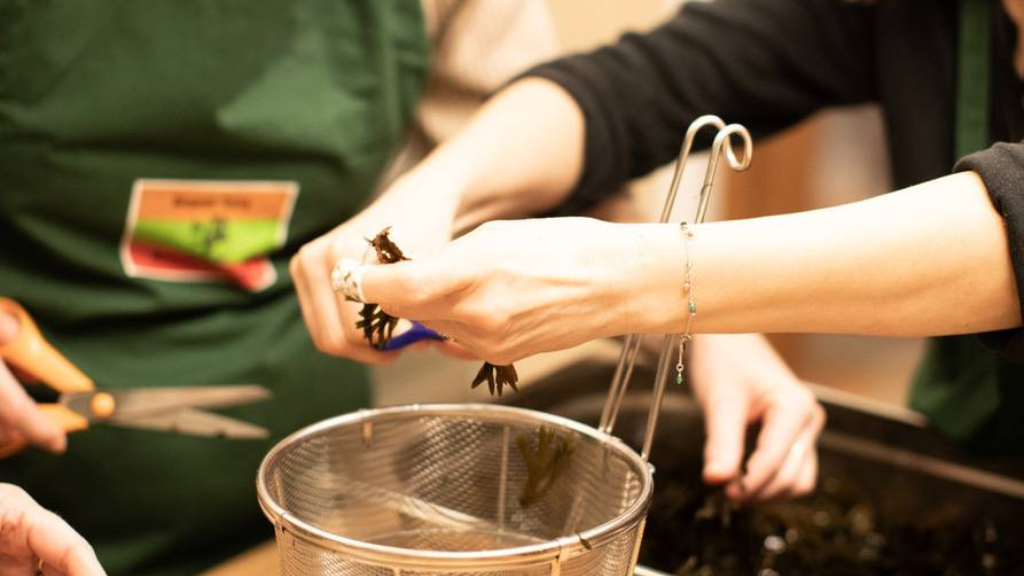 Seaweed cooking school