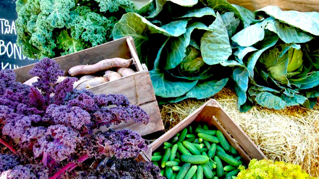 Folkekøkken på Esrum Kloster