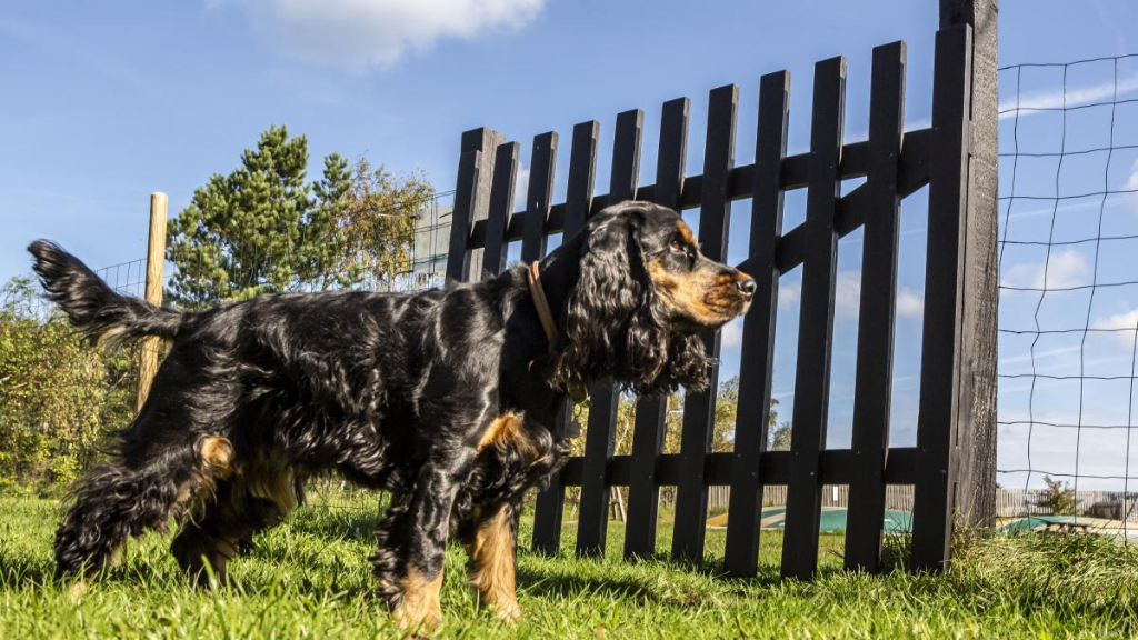 DCU Rågeleje Strand Camping