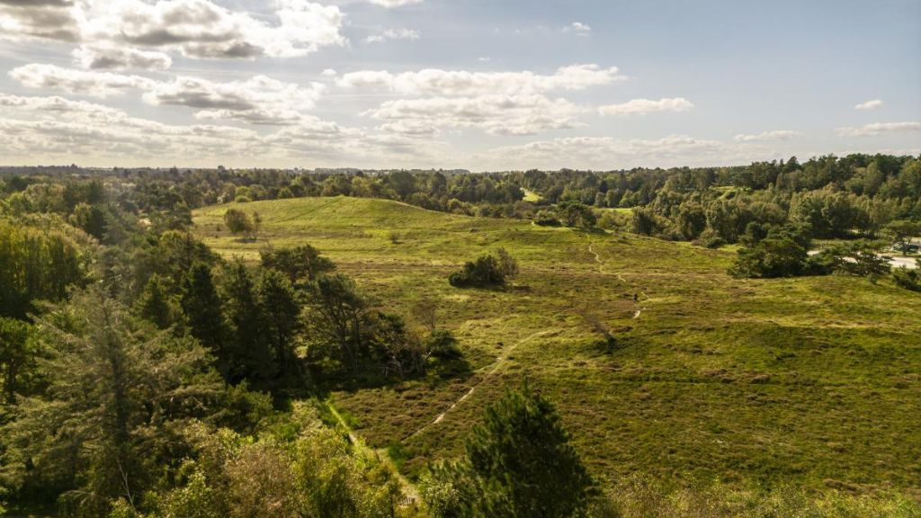 DCU Rågeleje Strand Camping