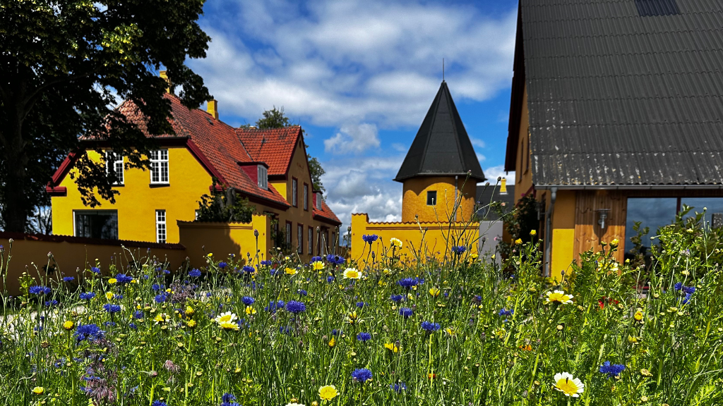 Øllingegaard Mejeri