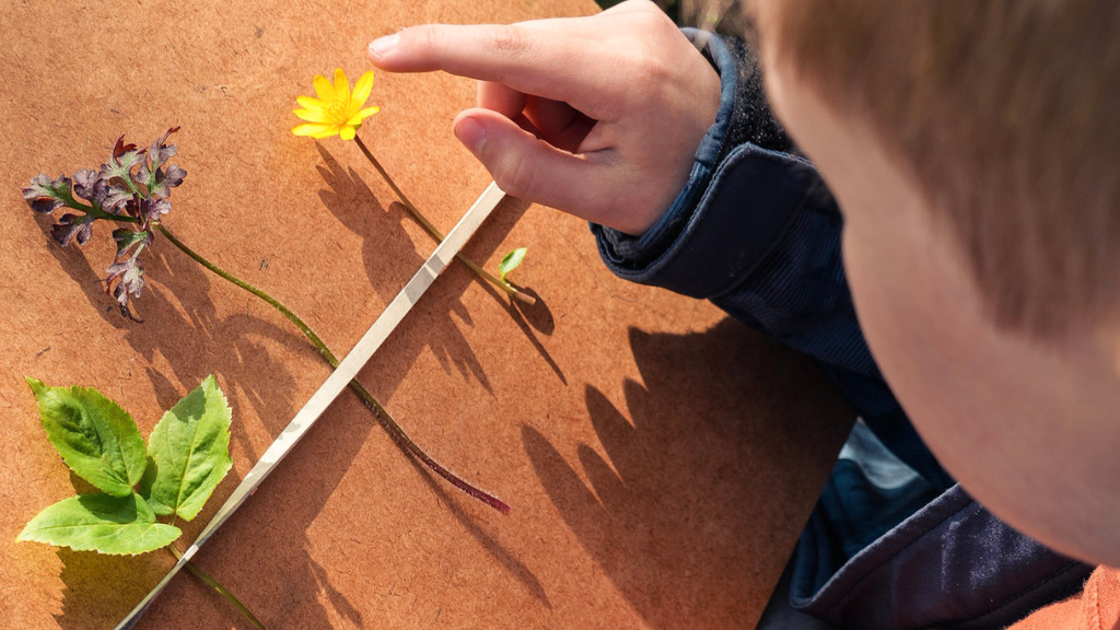 Esrum Kloster i Børnehøjde