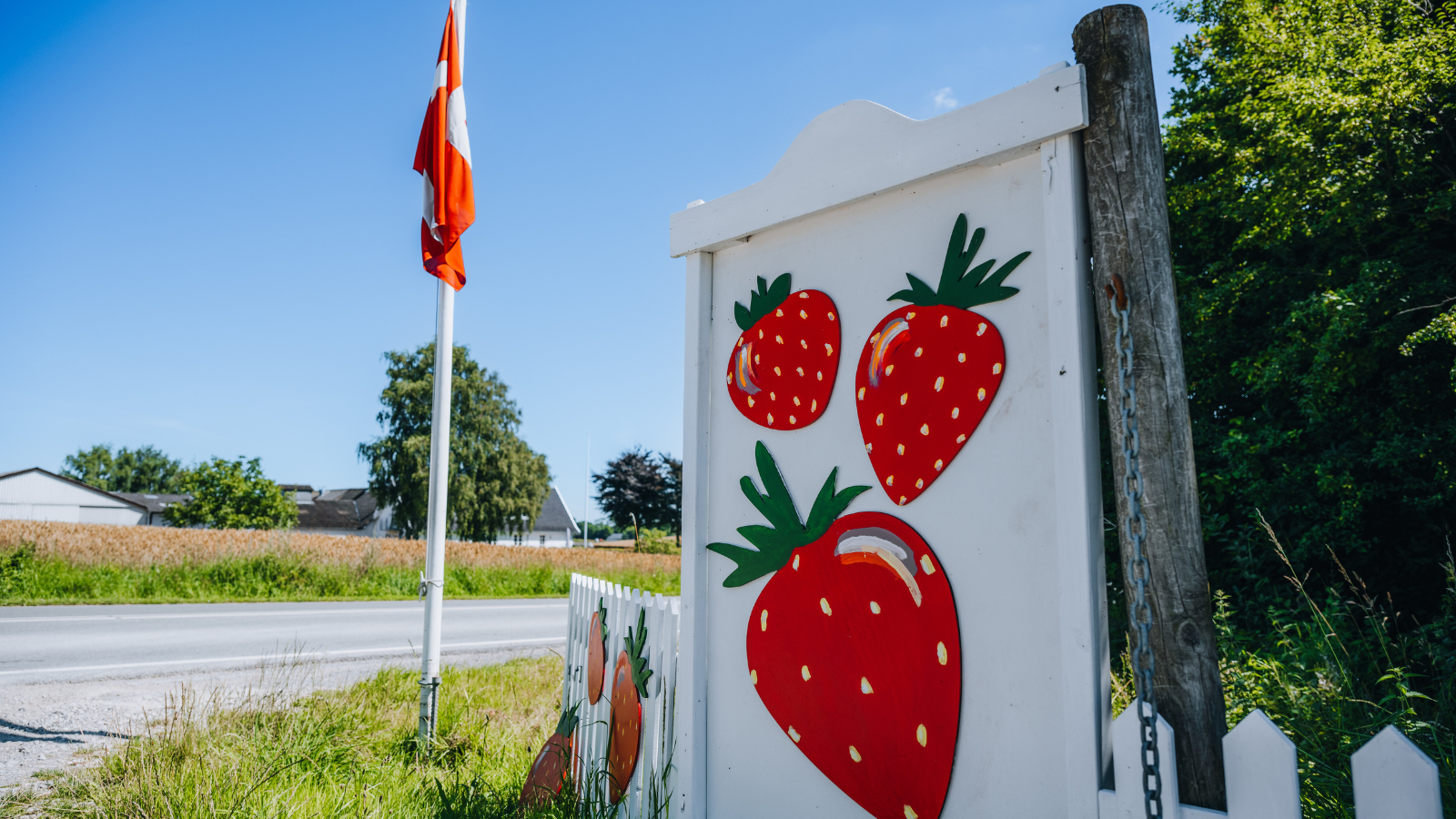 Erdbeeren zum Selberpflücken