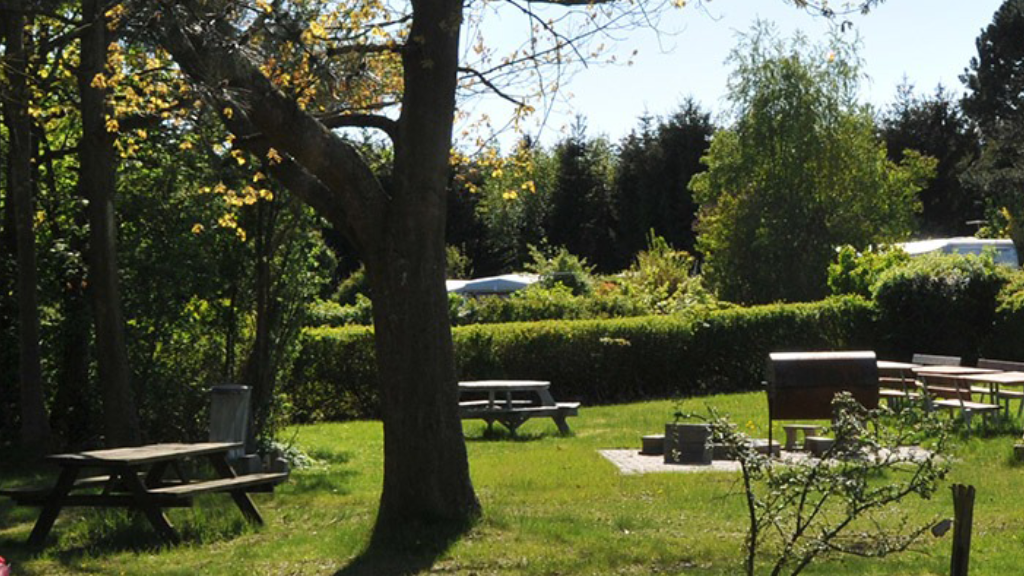 Rosenholm Camping