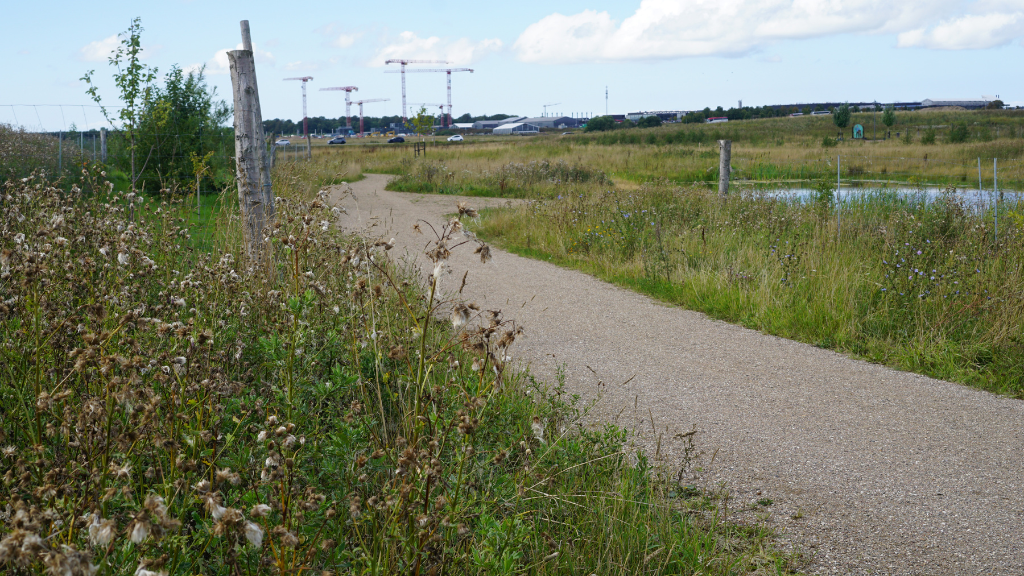 Familiegåtur med Hillerød Bymuseum