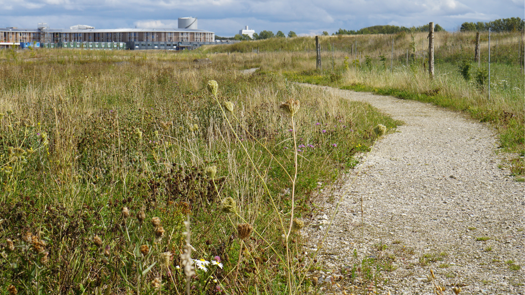 Familiegåtur med Hillerød Bymuseum
