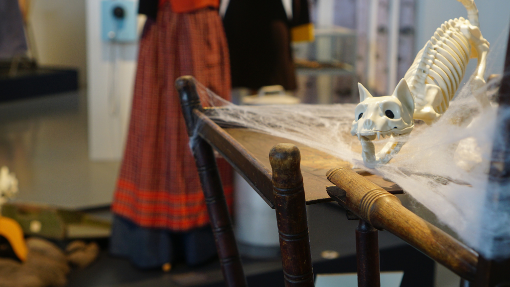 Museum Nordsjælland