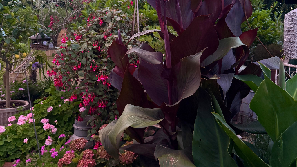 Hillerød Camping
