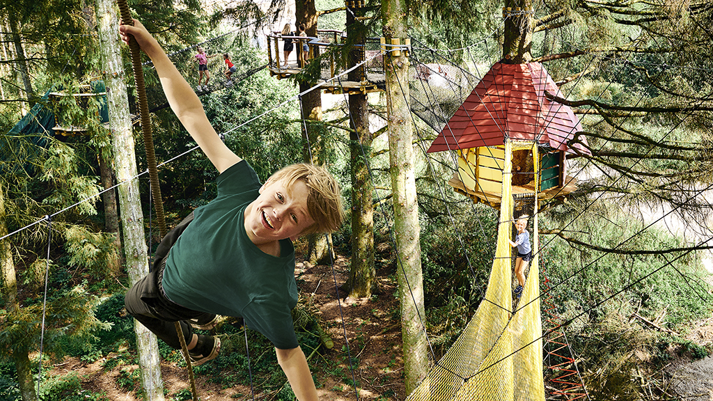 WOW PARK - Junge, der von den Bäumen hängt