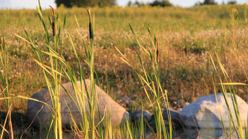 Bolding Apartments - Bild von See