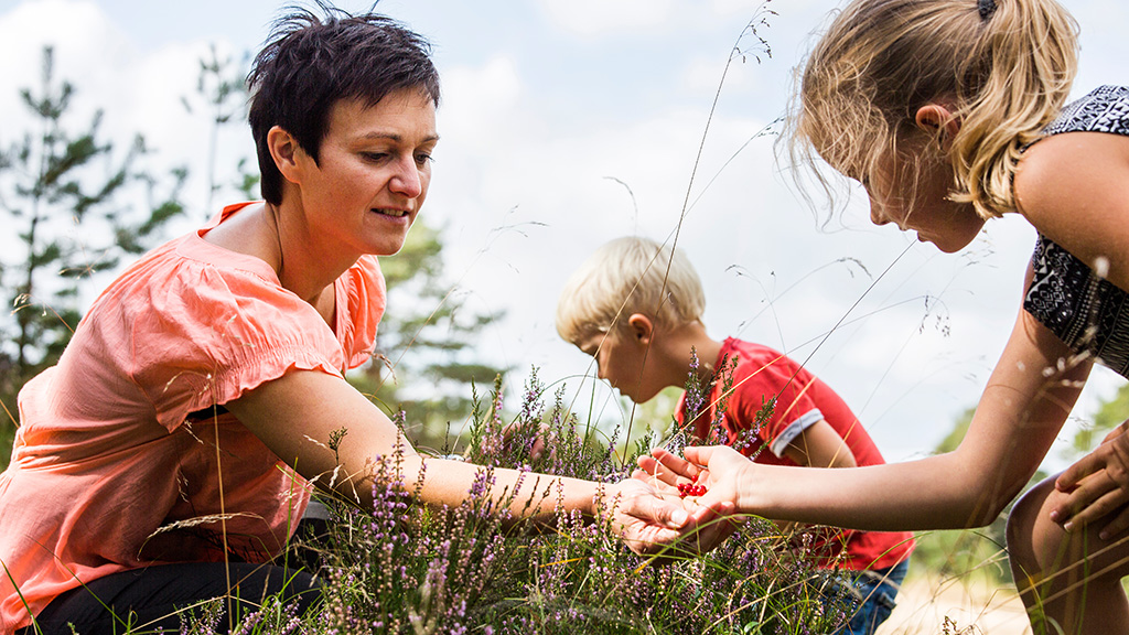Hiking in Grene Sande - Mother finds berries with children