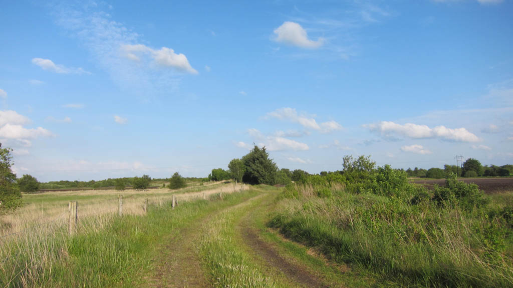Cycle path - Nature route