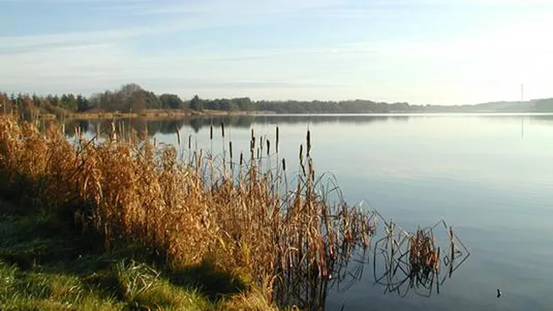 Engsøen - Billede af søen