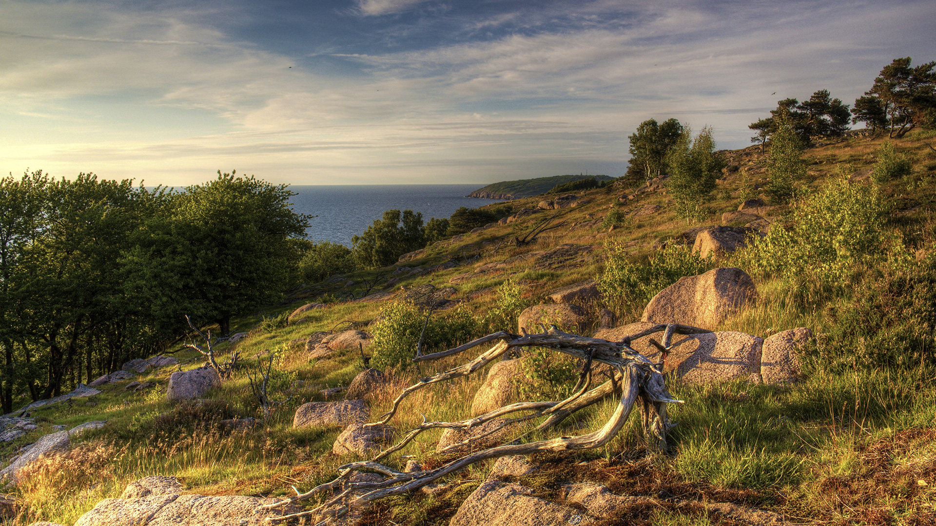 Slotslyngen og udsigten derfra