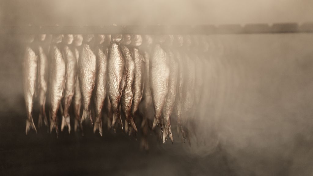 Snogebæk Røgede Sild