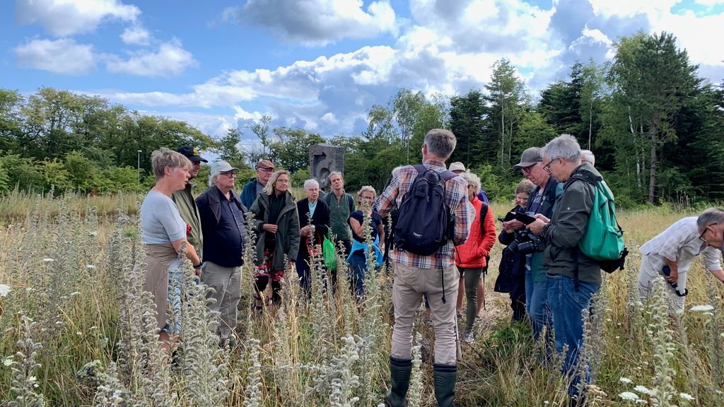 Guidet tur i Gudhjem Museums Park