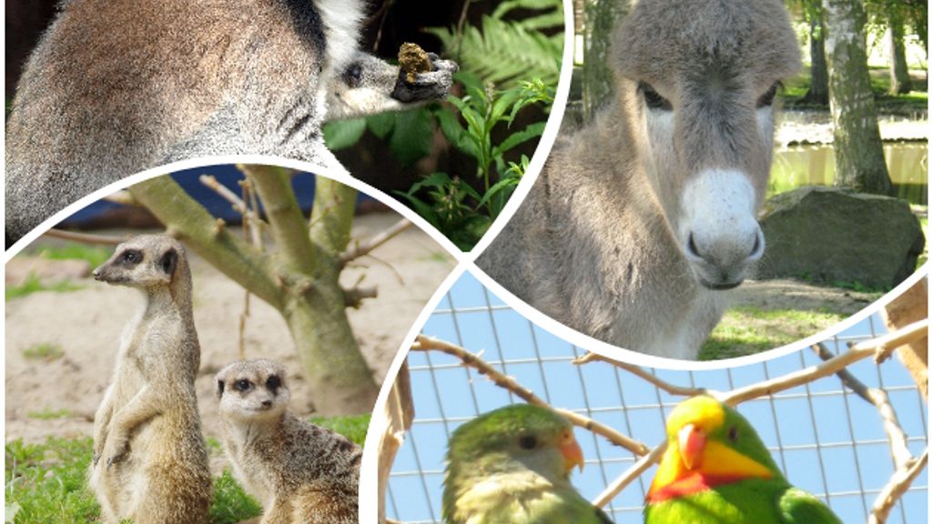 Brændesgårdshaven - Zoo