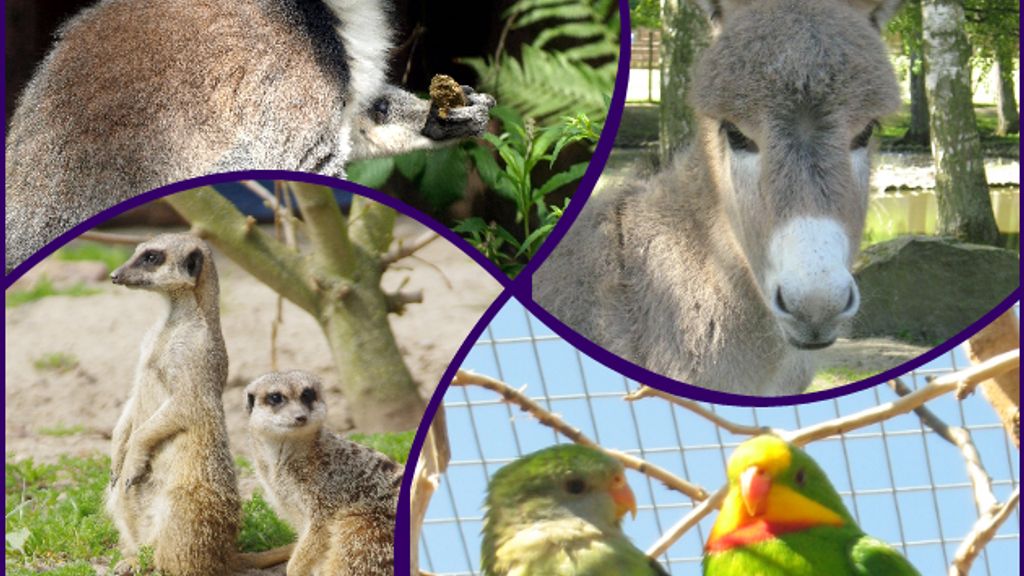 Brændesgårdshaven - Zoo