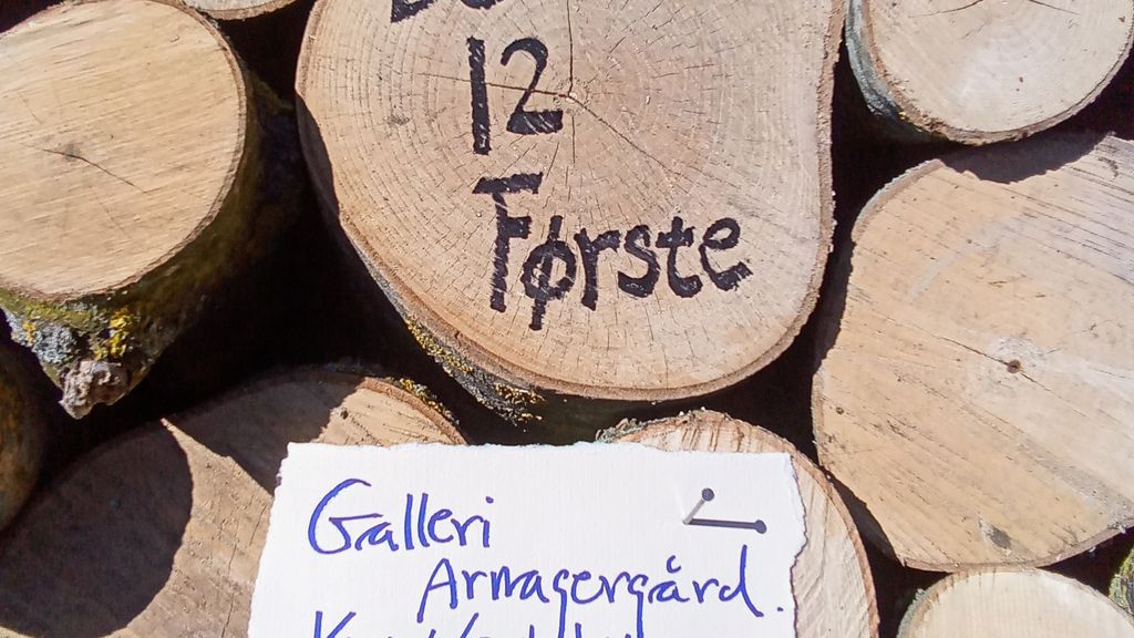 Galleri Arnagergaard