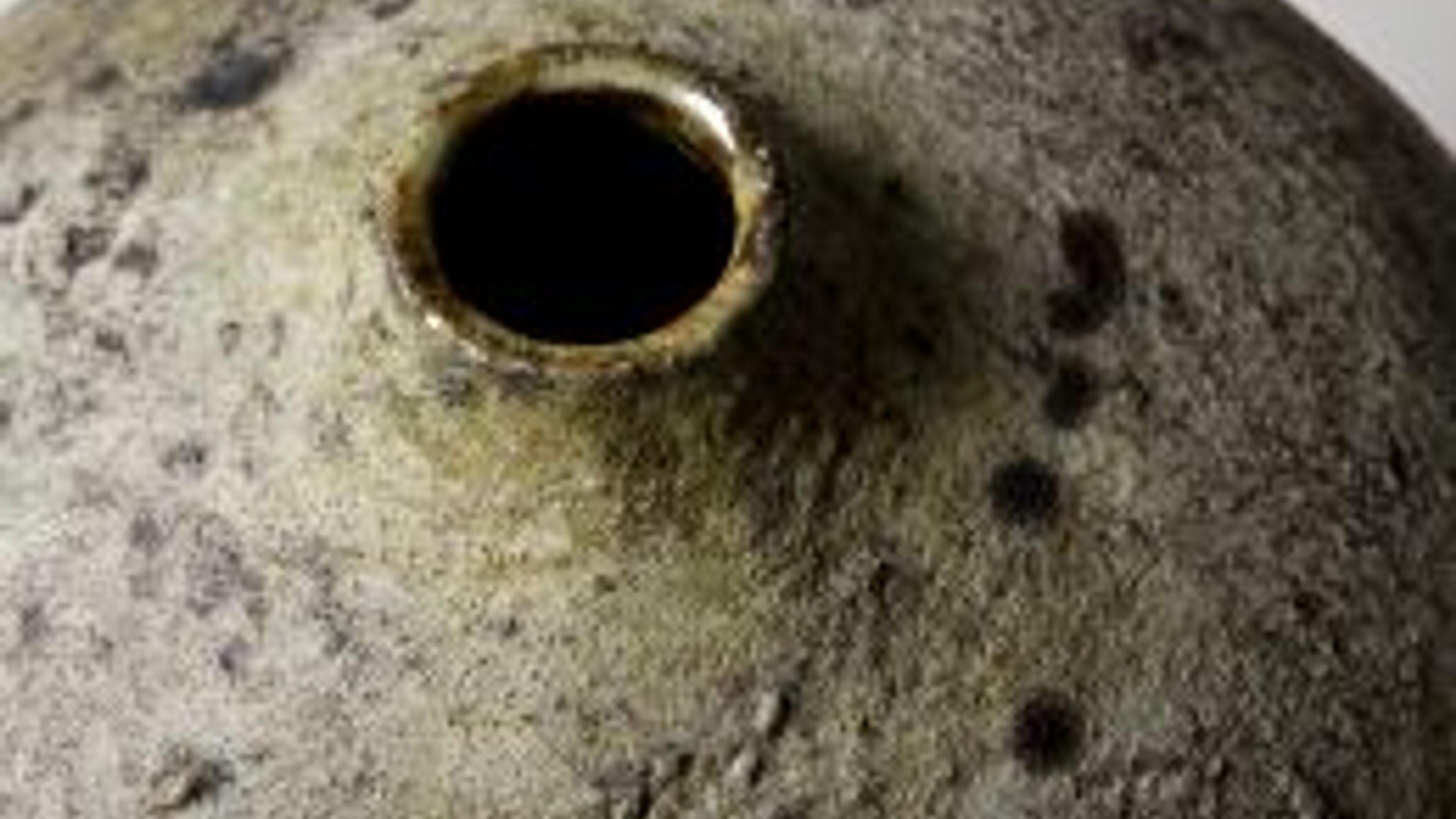 Detalje af grøn krukke, Eva Brandt