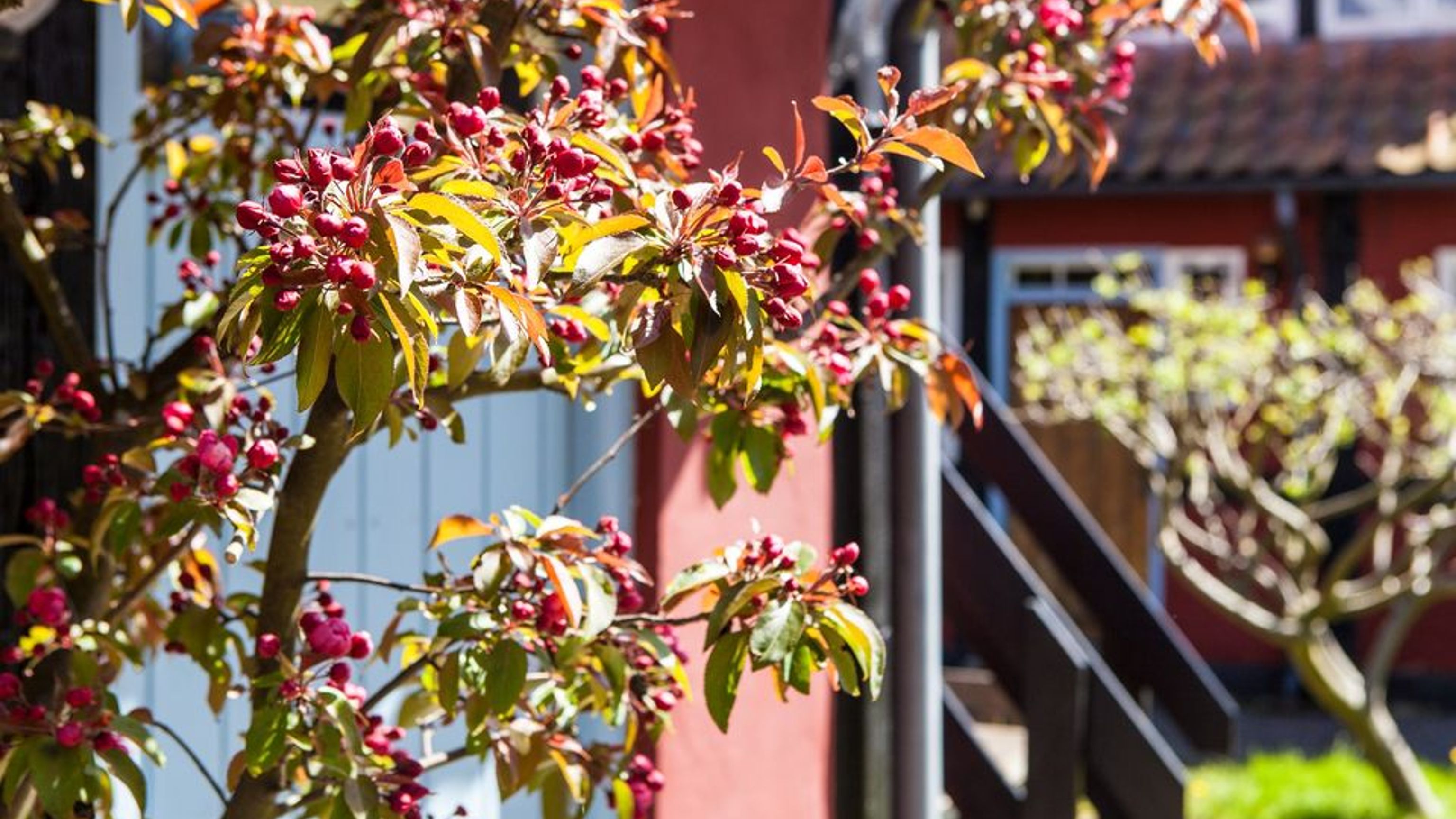 Næsgaarden Pensionat