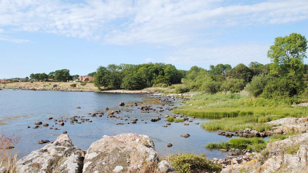 Årsdale