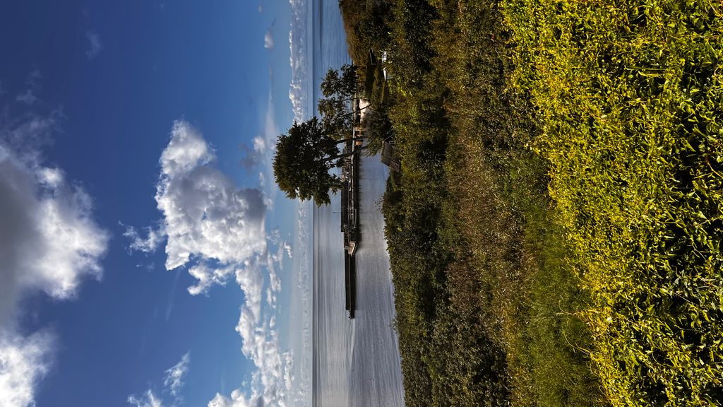 Udsigt fra terrassen