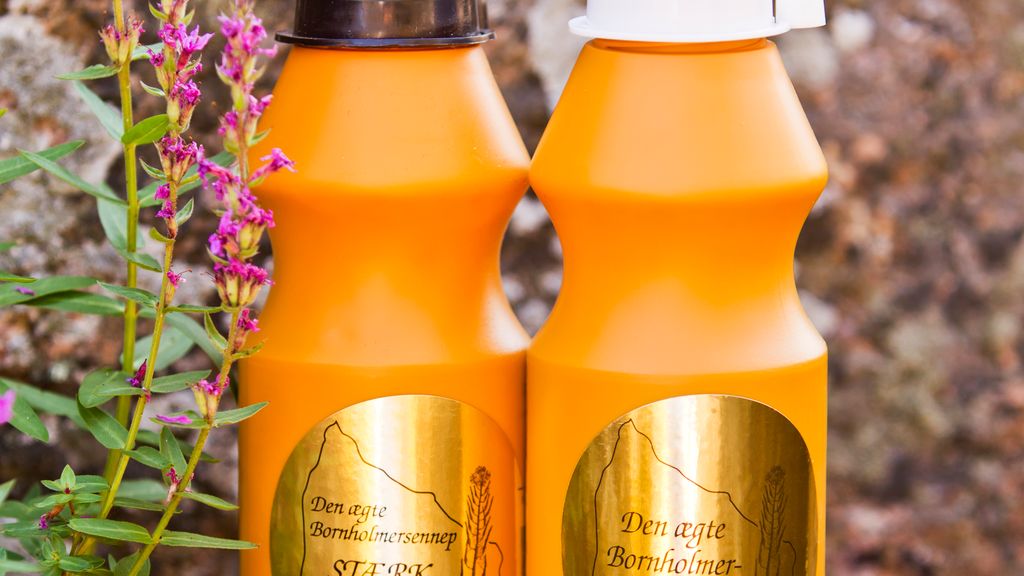 Bornholmersennep i klipperne