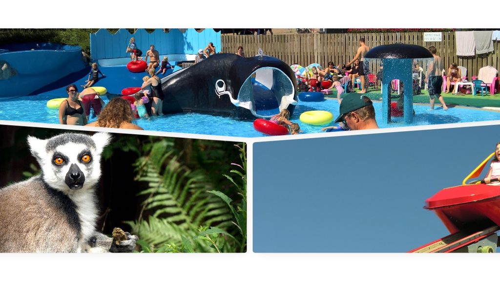 Brændesgårdshaven - Brændesgårdshaven - Børnevandland - Brumbazzz - En Lemur