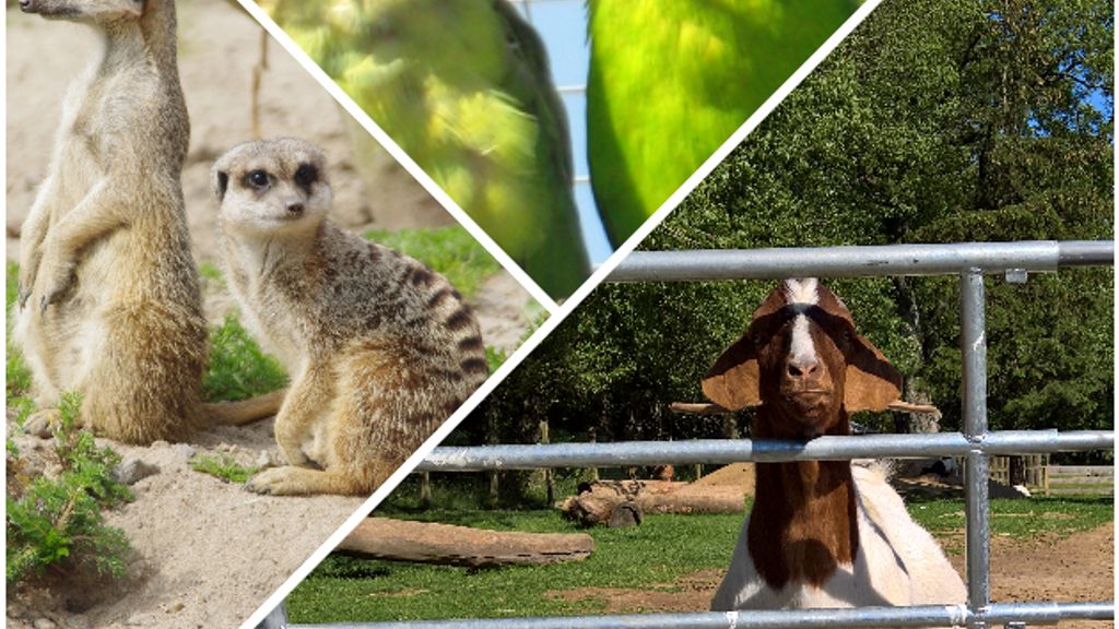 Brændesgårdshaven - Zoo