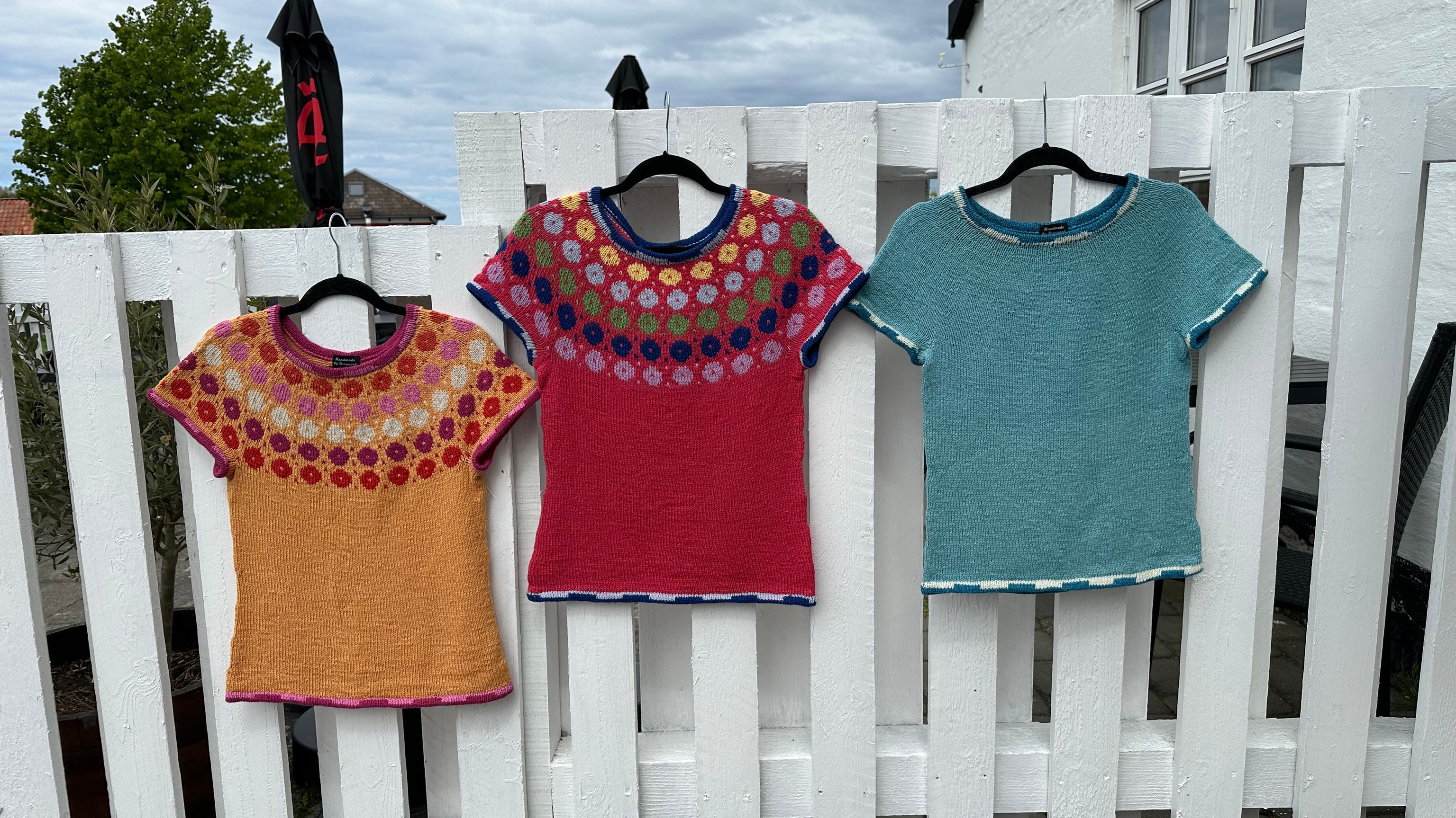 Brogaard Isheste og Strik