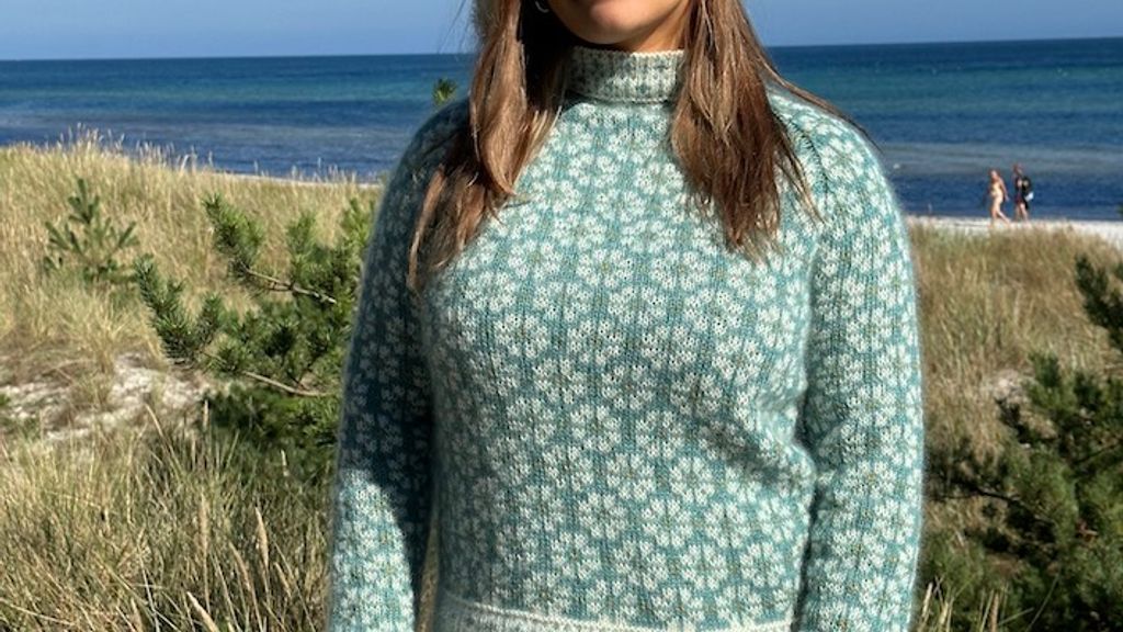 Brogaard Isheste og Strik