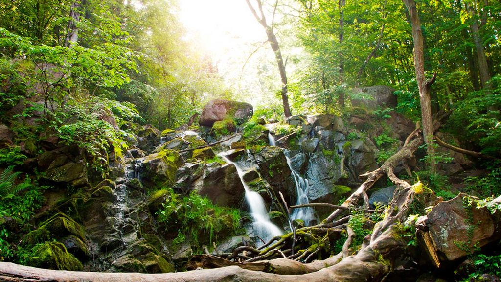 Døndalen på Bornholm