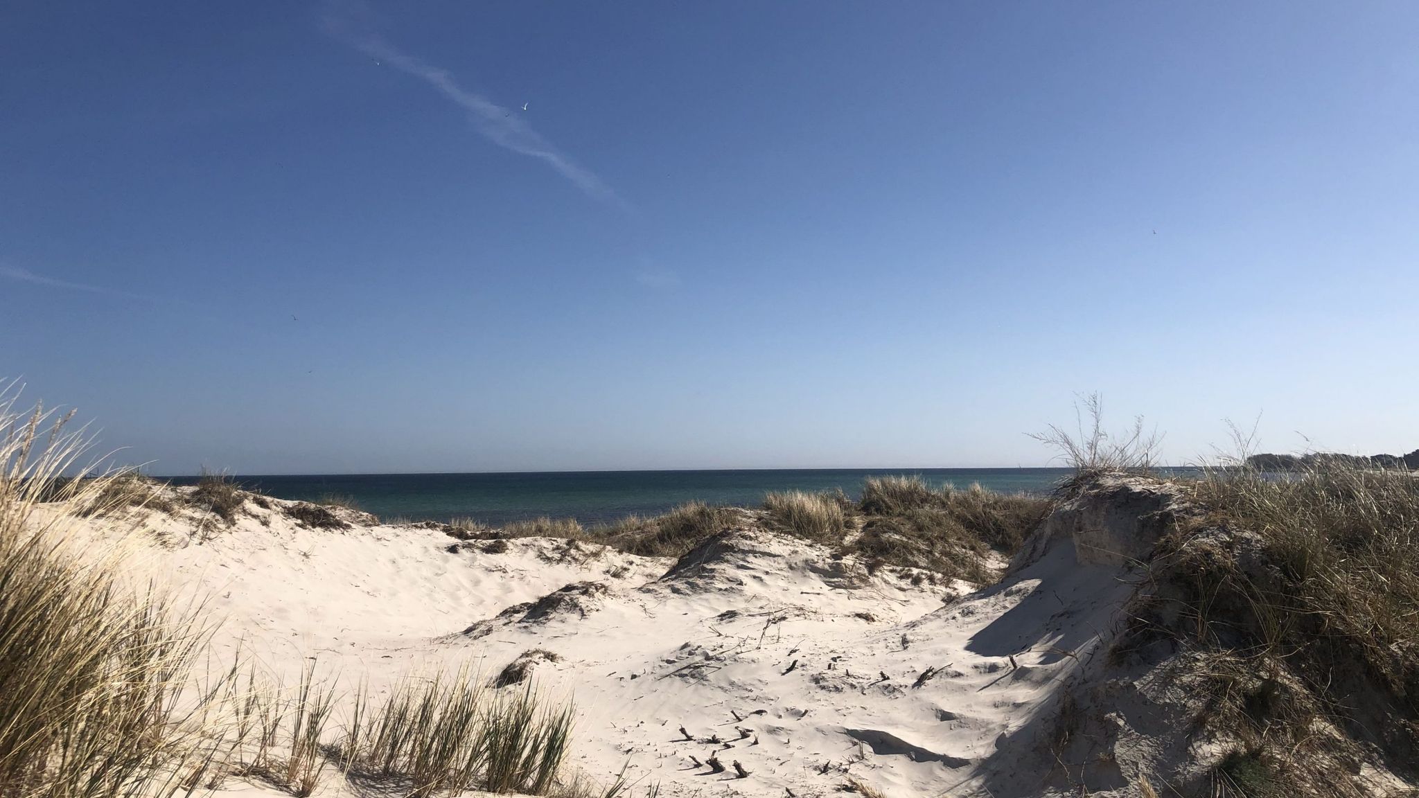 Eco Beach Camp