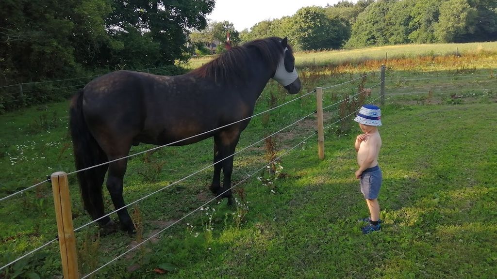 Ekkodalens Naturcamping