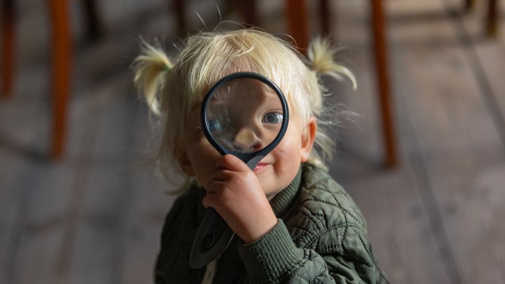 Gå på insektsafari i haven