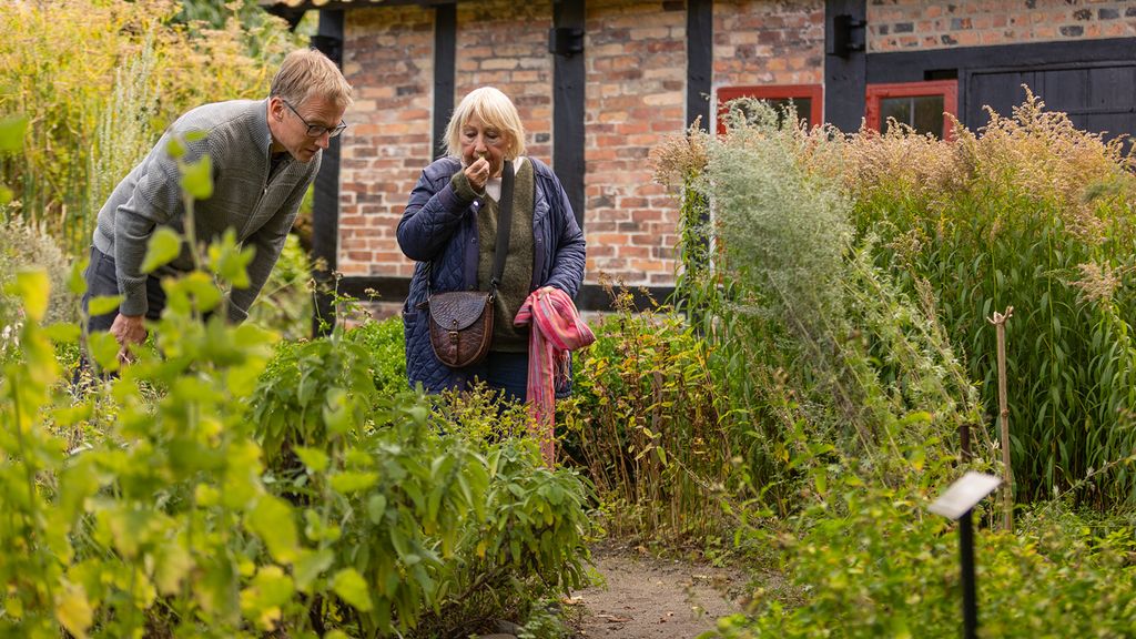 Smag på havens bær og frugter