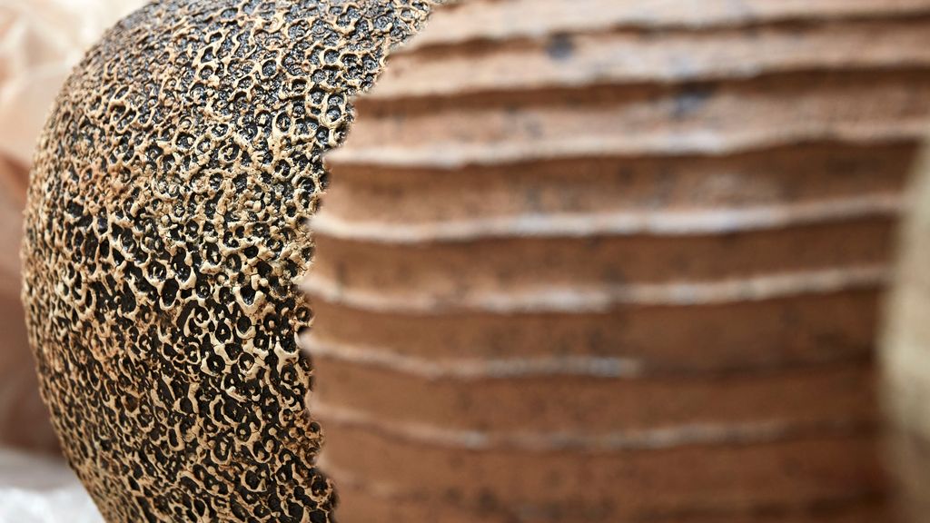 Eva Brandt studiova Brandt