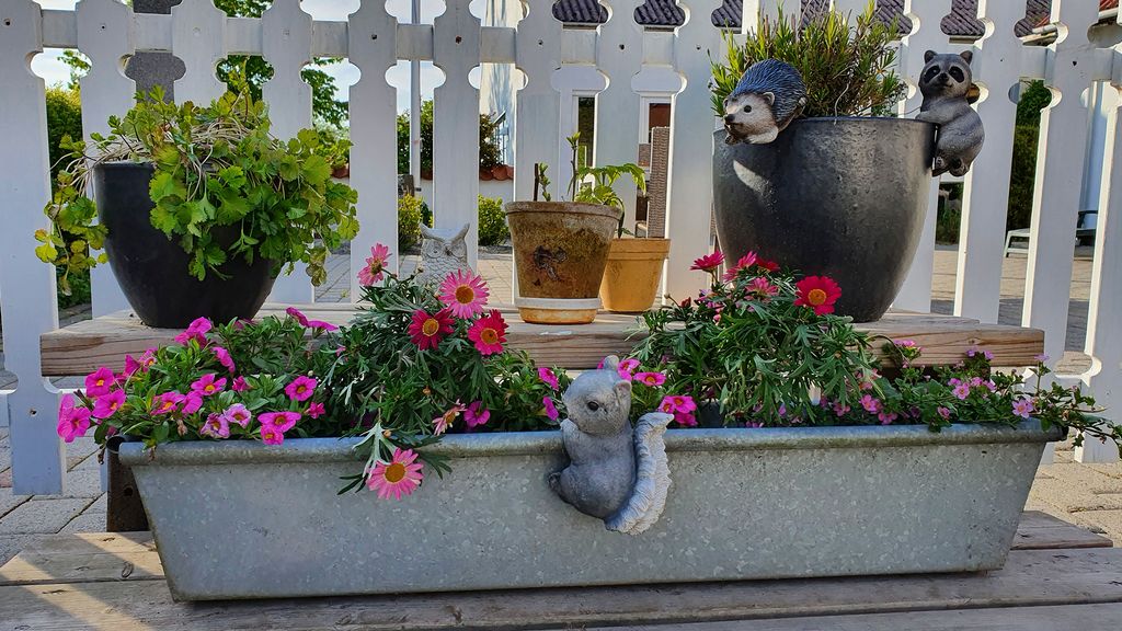 Blomster på gårdspladsen