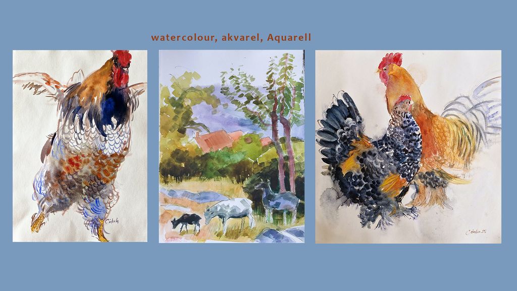 watercolour Anne Cirkola