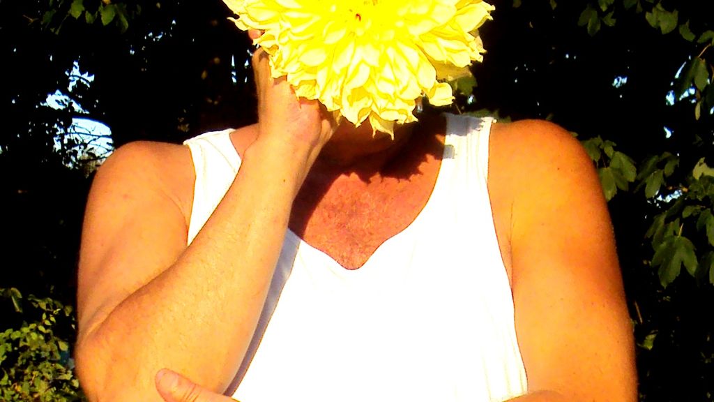 Galleri Arnagergaard